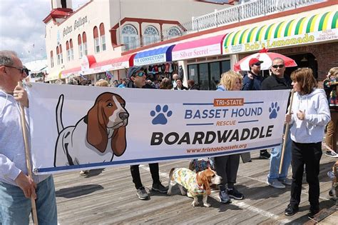 ocnj calendar of events 2023.